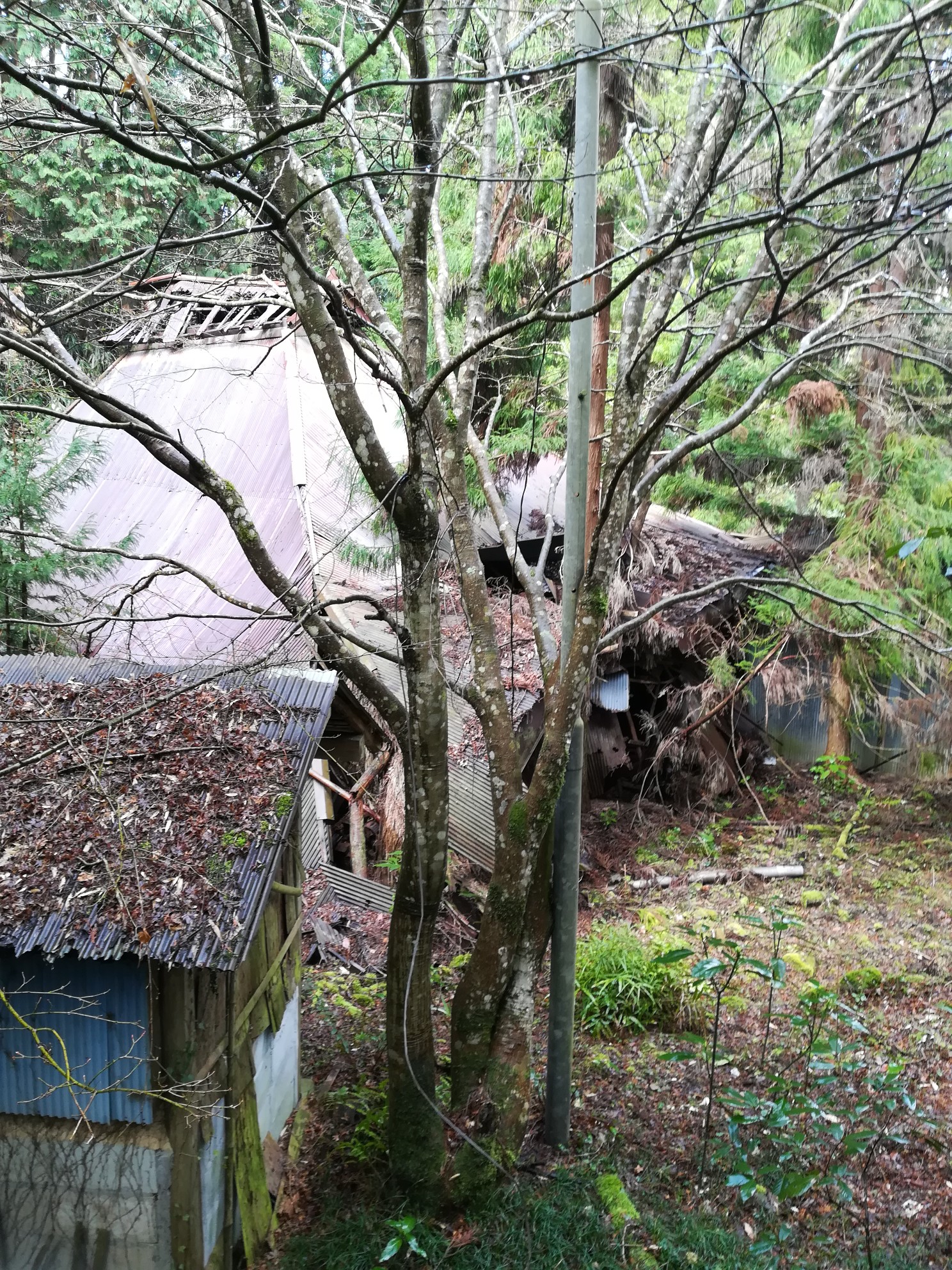 ポツンと一軒家 神社 ついでに 峰尾山 ー 03 05 マコト 里山 登 さんの馬糞ヶ岳 長野山の活動データ Yamap ヤマップ