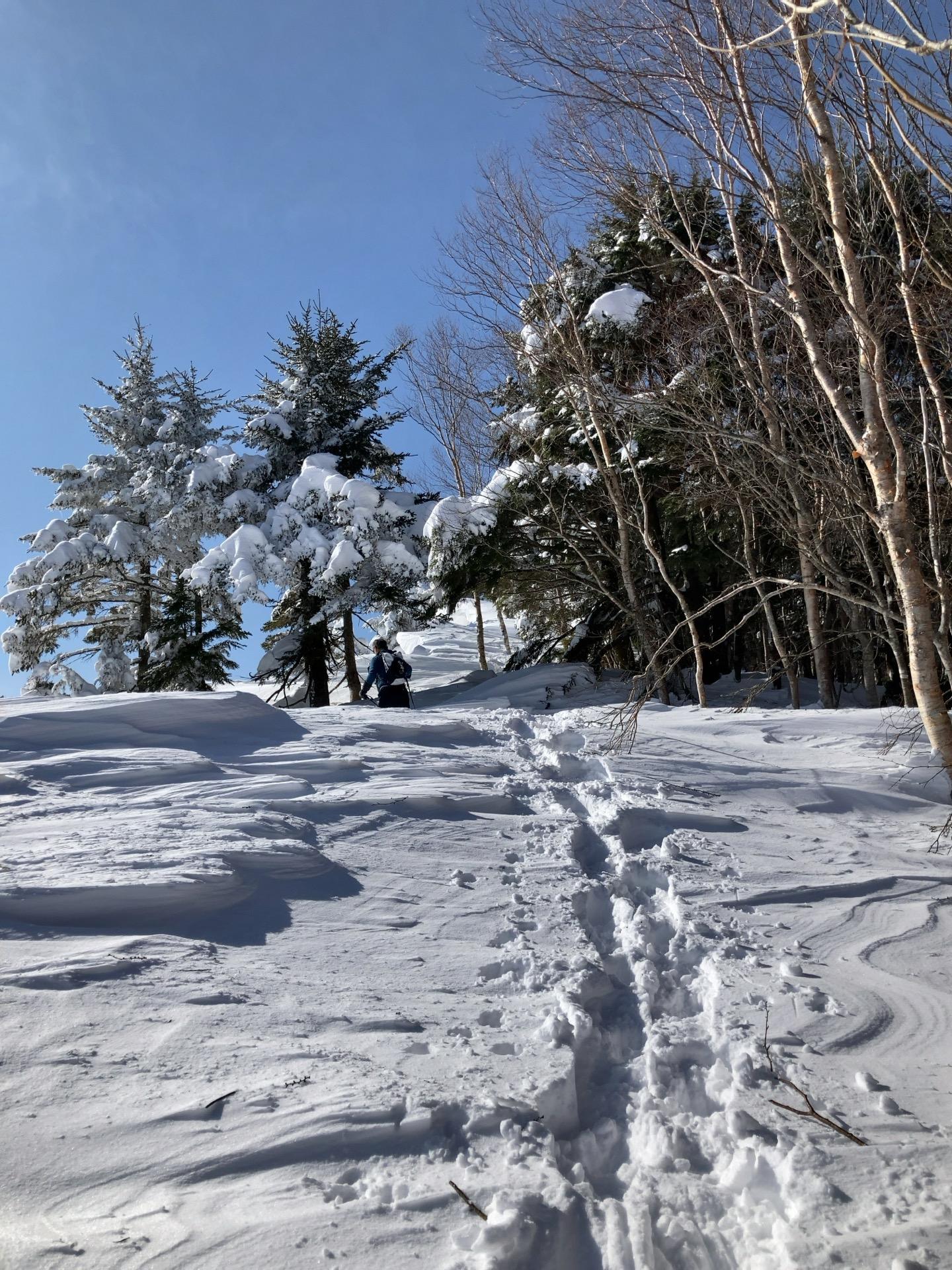 冬の恵那山を満喫 / やまーゆさんの恵那山・大判山・神坂山の活動