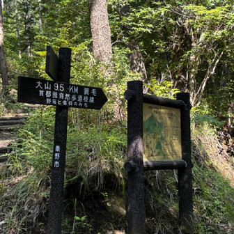 善波の分岐。もうここにくる頃は日焼け止めも落ちるくらいの汗