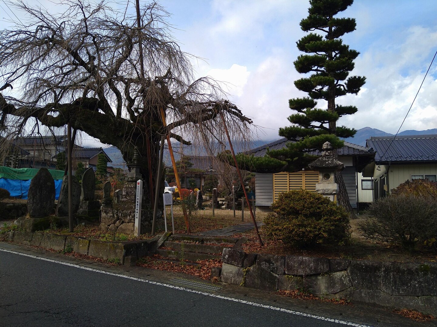 三州街道⑥ 高遠原駅〜飯田駅 / 登山の写真15枚目 / 円通庵の枝垂れ桜 YAMAP / ヤマップ