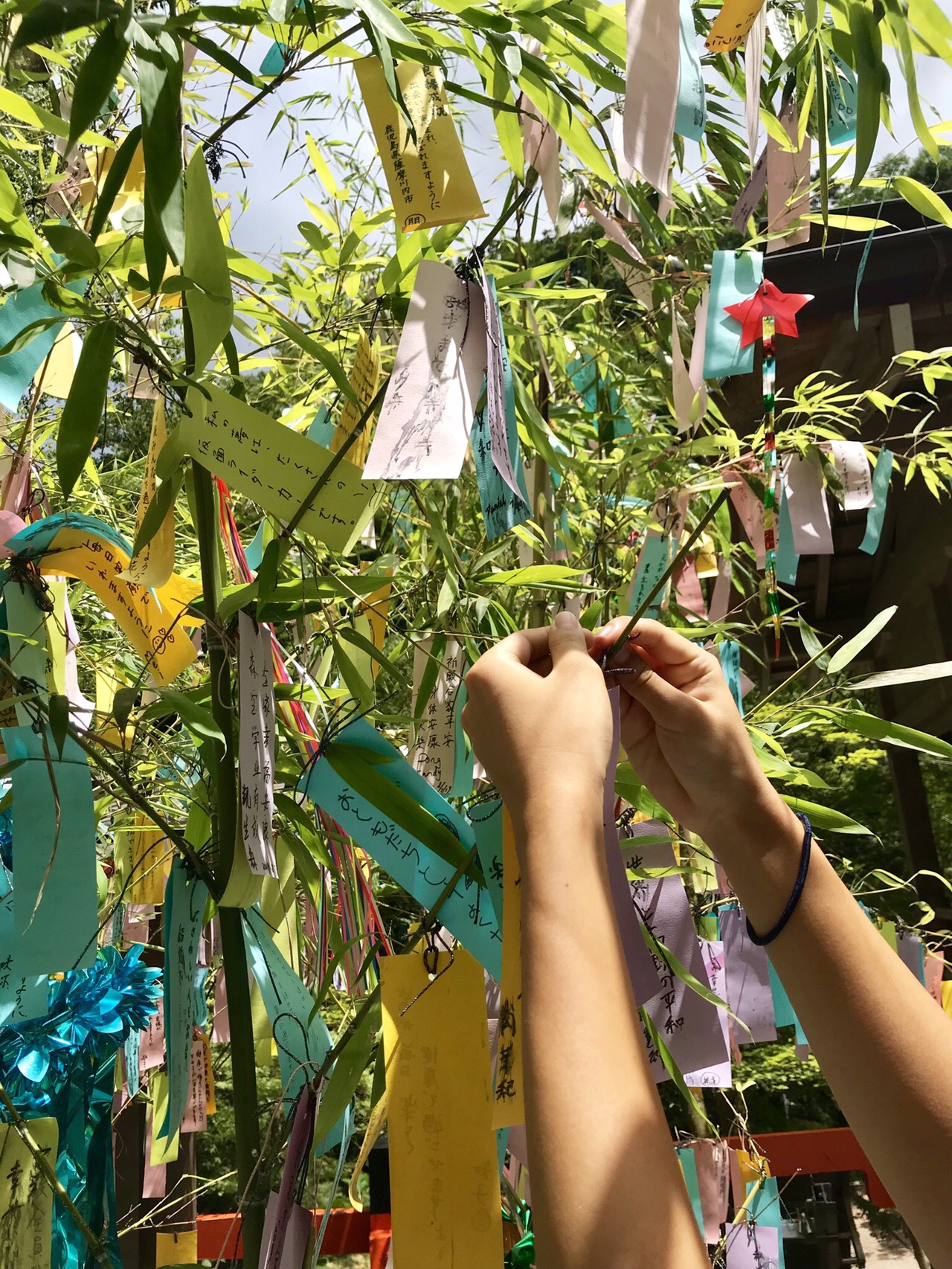 鞍馬寺 貴船神社 ハイキング カネゴンさんの貴船山 鞍馬山の活動日記 Yamap ヤマップ