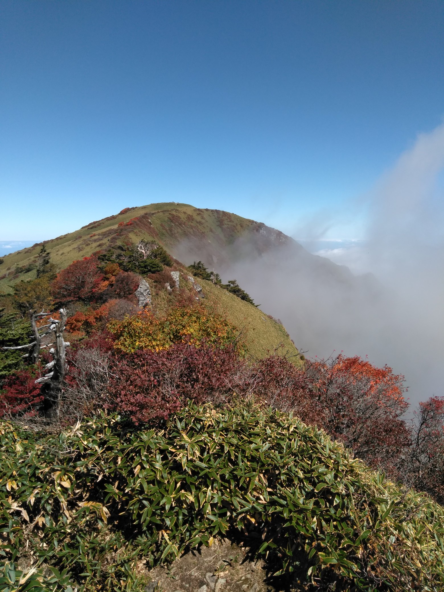 雲海の石鎚山と紅葉を観た 男山 瓶ヶ森 山パスタさんの瓶ヶ森 伊予富士の活動データ Yamap ヤマップ