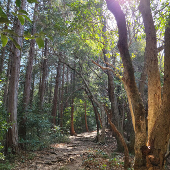 ベリーのお父さん