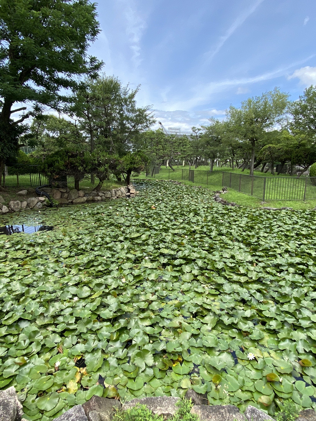 1等三角点のある日本一の低い山 蘇鉄山 ミリ助さんの堺市の活動データ Yamap ヤマップ