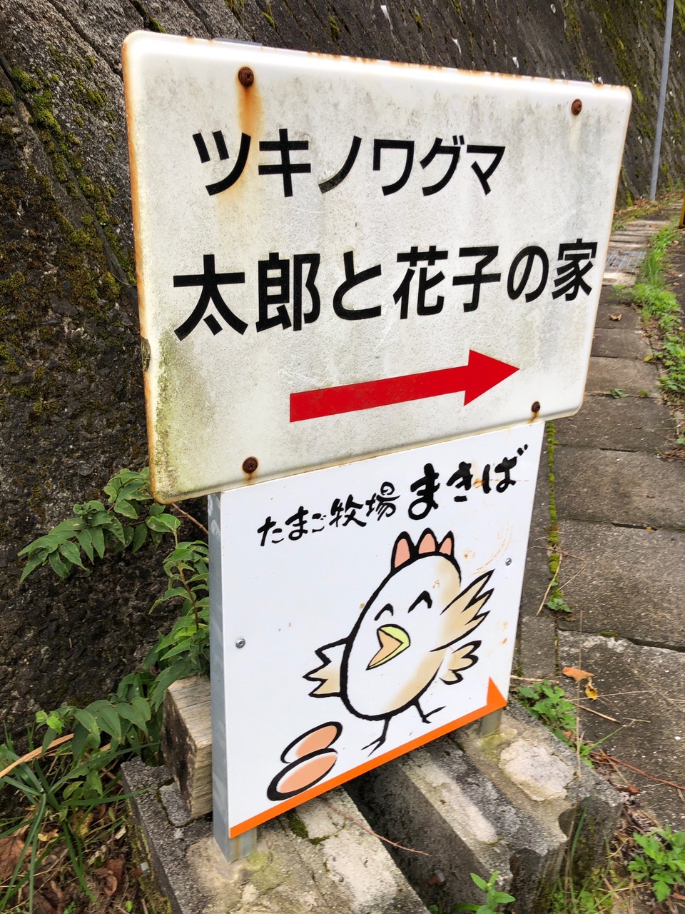 太郎に新しい仲間 が出来たよ ひろさんの生石ヶ峰 生石高原の活動データ Yamap ヤマップ