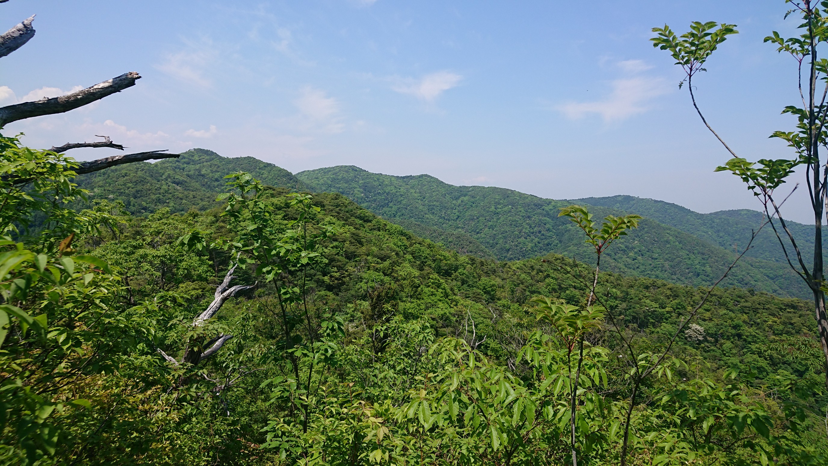 何にもな い 何にもな い 全く何にもない ギャートルズedソング 龍王山 広島県三原市 大峰山 高羽山 19 05 13 源一郎 さんの龍王山 広島県三原市 大峰山 高羽山 の活動データ Yamap ヤマップ