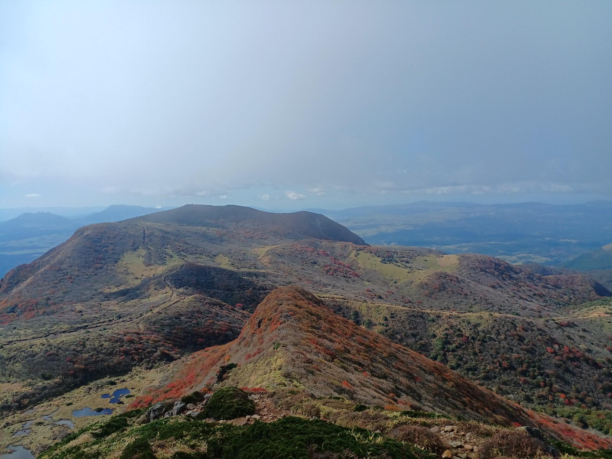 ケインコスリスギ 41mS4v69I2L.jpg_BO30,255,255,