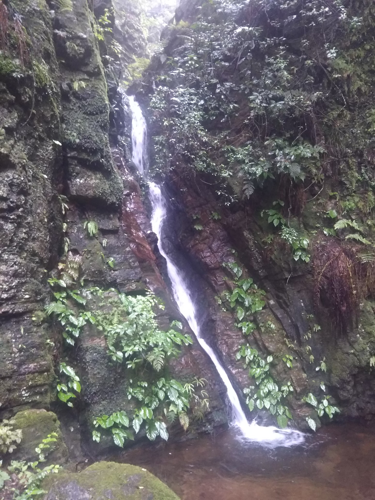 白銀平 滝沢の滝往復 19 07 02 Mkawa2さんの奥武蔵ウルトラマラソンの活動データ Yamap ヤマップ