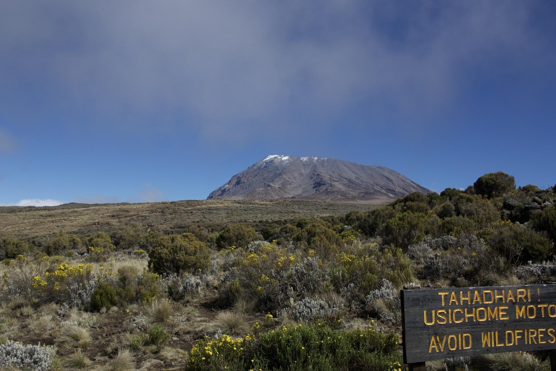 キリマンジャロ20230504 / Kazさんのキリマンジャロの活動データ YAMAP / ヤマップ