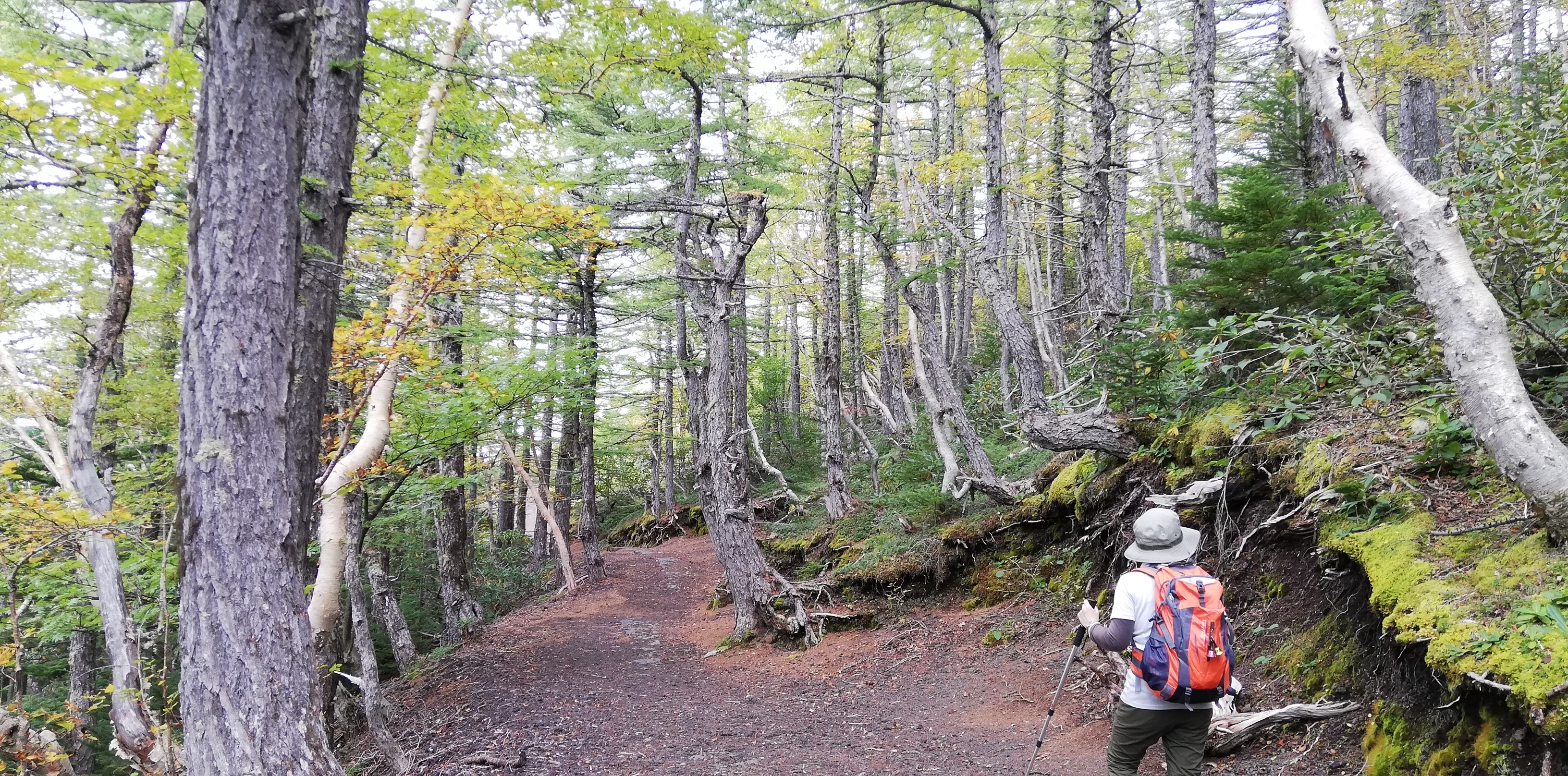 19 10 5 奥庭 御庭 御中道 富士スバルライン五合目 まさやんさんの富士山の活動日記 Yamap ヤマップ