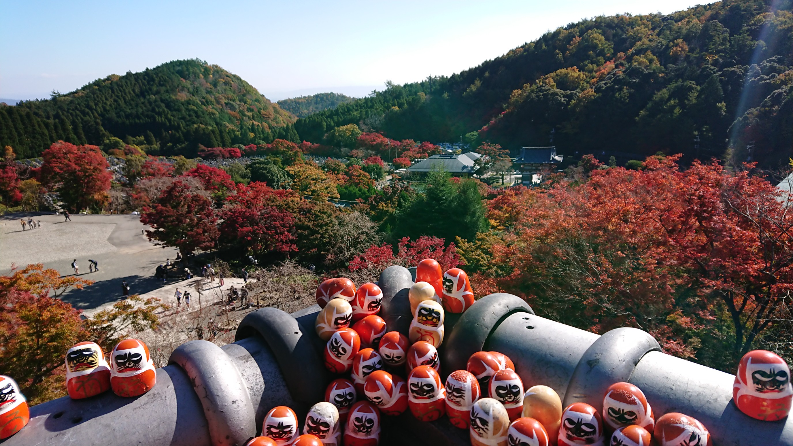 勝尾寺紅葉 11 14 くろくろさんの六個山 鉢伏山 明ヶ田尾山 五月山の活動日記 Yamap ヤマップ