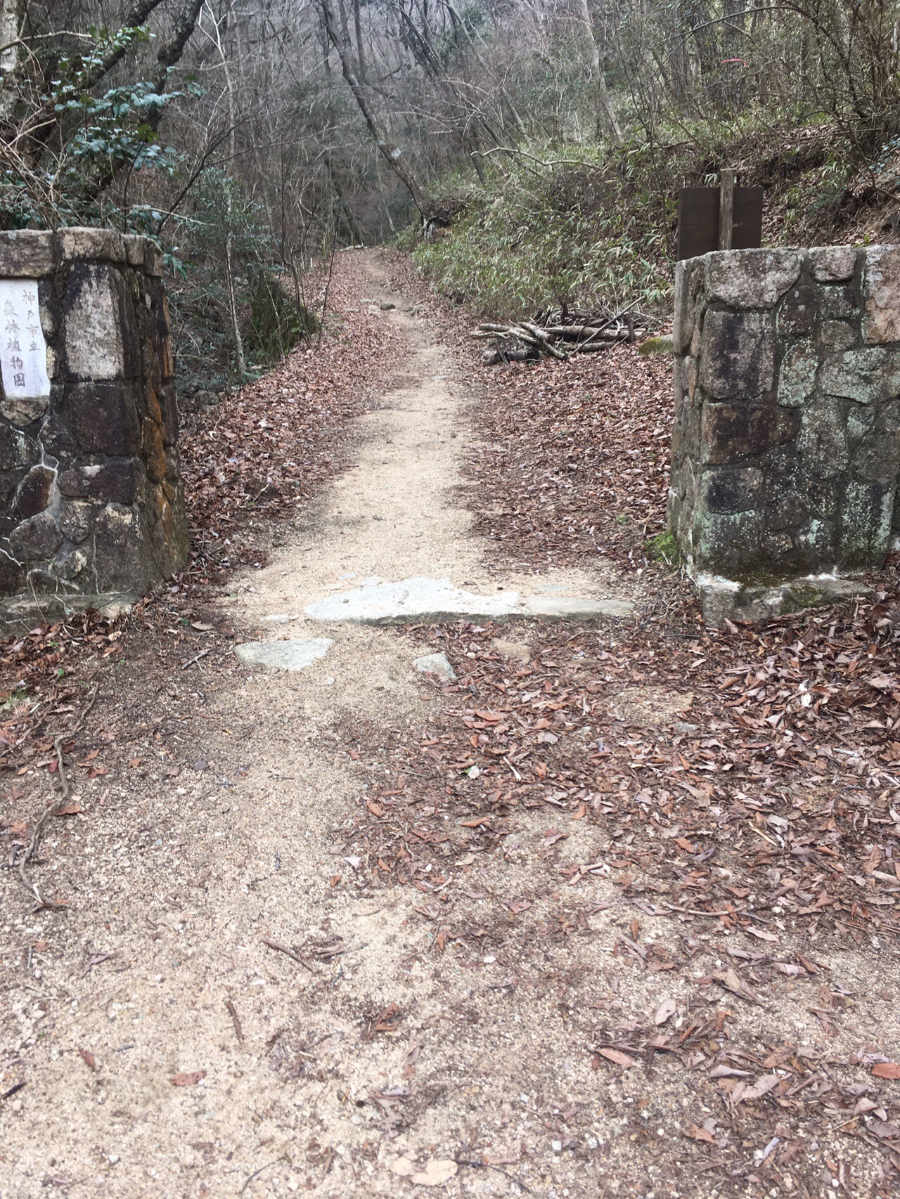 牛の背 馬の背 30km ぢゃぺさんの六甲山 長峰山 摩耶山の活動データ Yamap ヤマップ