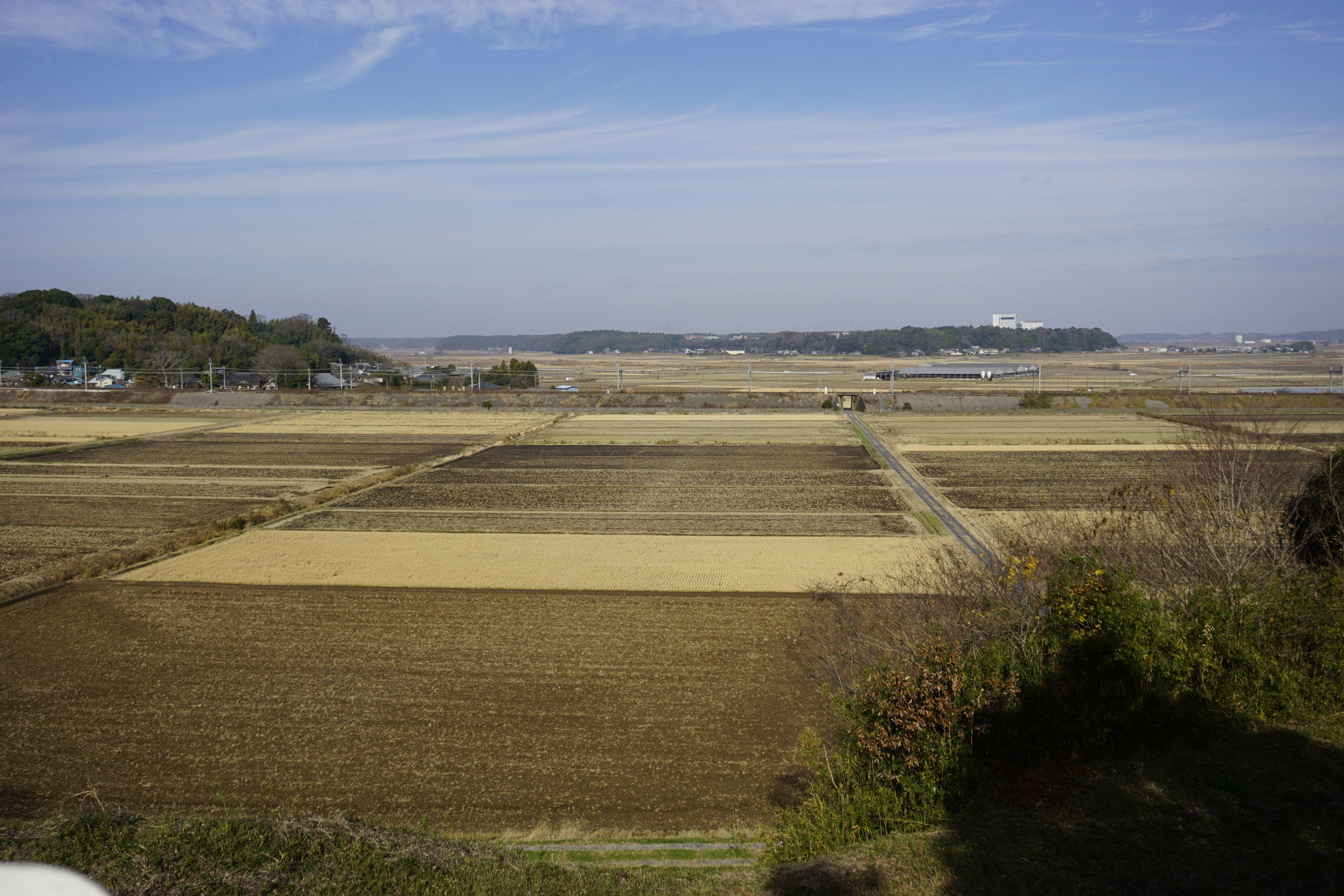本佐倉城城址 / gankuさんの成田市の活動データ YAMAP / ヤマップ