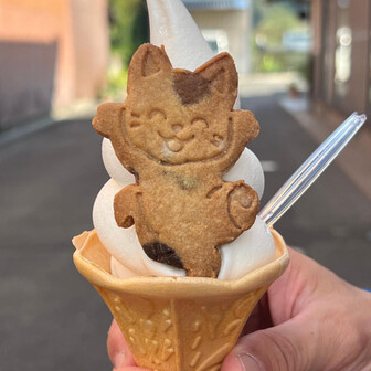 山ニャン🐈
