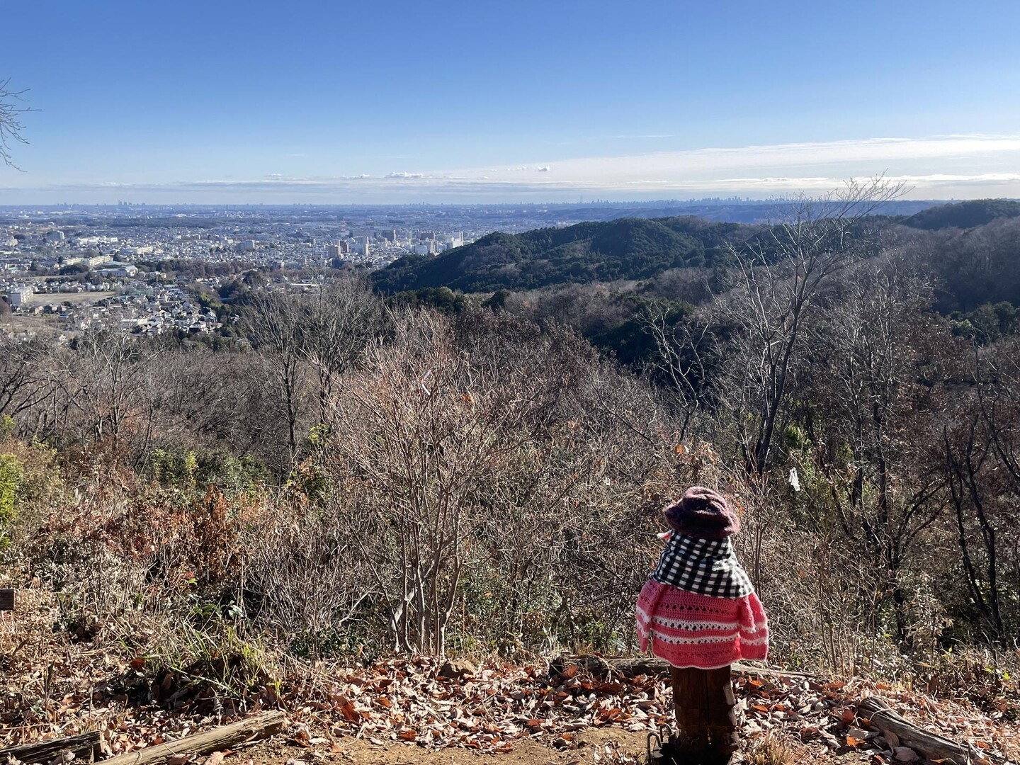 燧山・龍崖山・柏木山・秋葉山・夕日山・朝日山 / とだなさんさんの天覧山・多峯主山・天覚山の活動データ | YAMAP / ヤマップ