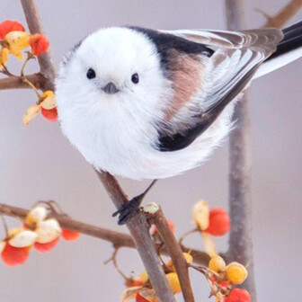 らら