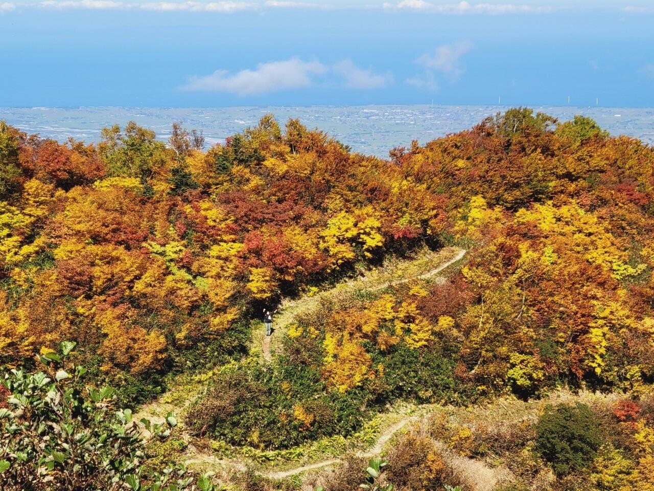 前僧ヶ岳・僧ヶ岳 / NAさんの僧ヶ岳・駒ヶ岳（越中駒ヶ岳）の活動データ YAMAP / ヤマップ