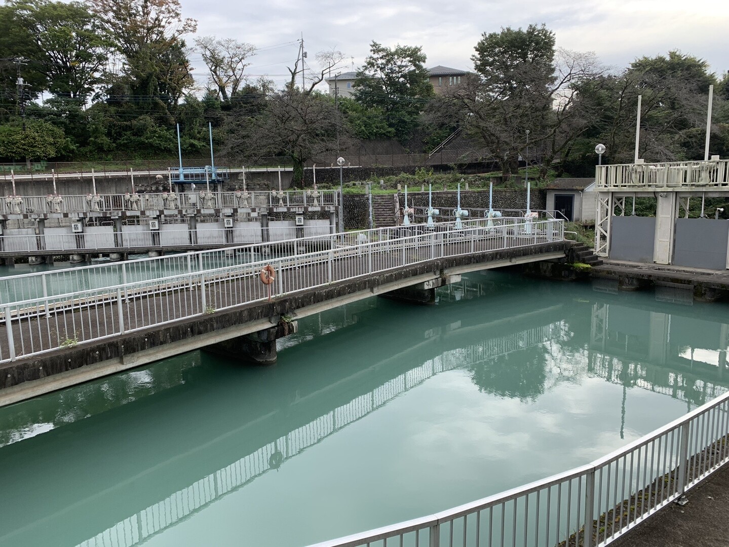 10 19玉川上水をあるく1 4 Yamashimizuさんの羽村市の活動日記 Yamap ヤマップ