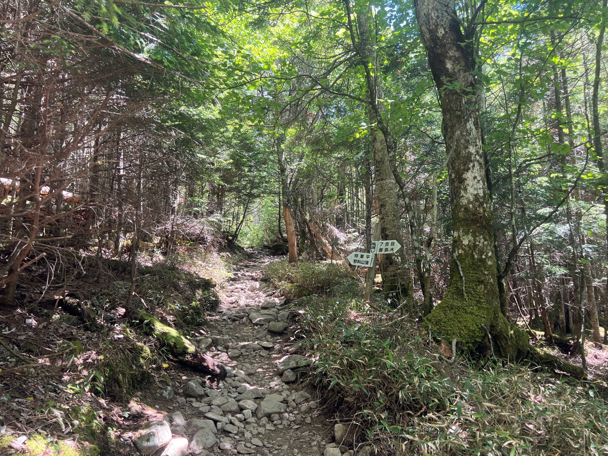 まずまず、問題のないコース