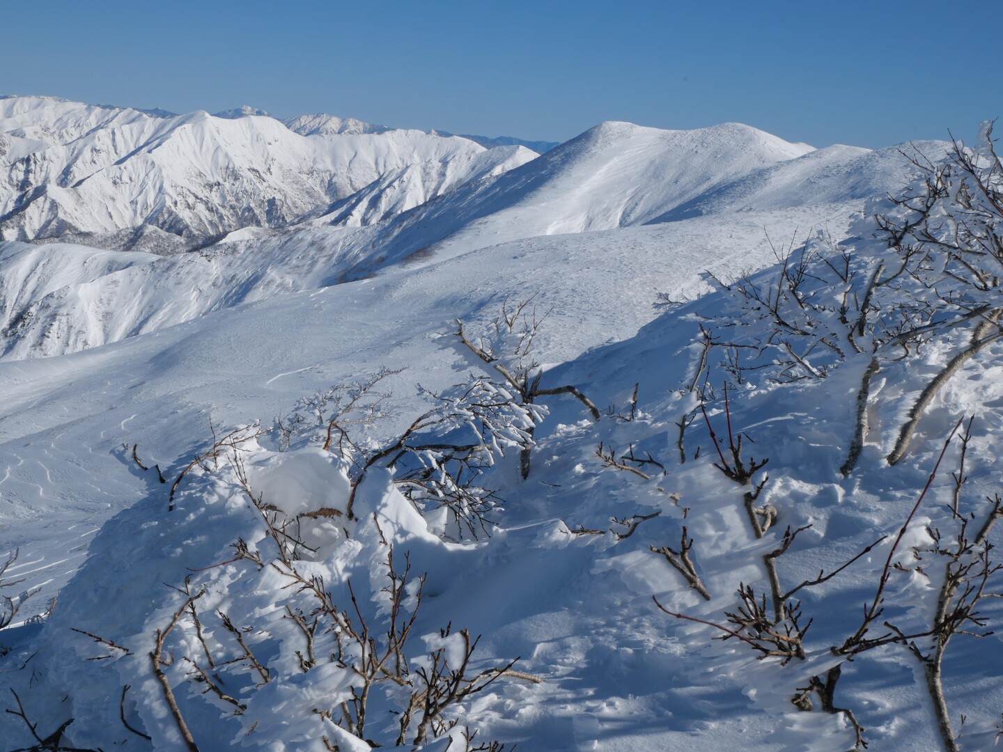 平元新道から平標山 / かのうざんさんの登山の活動データ YAMAP / ヤマップ
