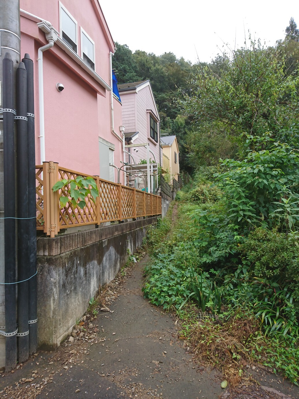 草戸山 三沢峠 梅ノ木平19 10 08 Yassさんの高尾山 陣馬山 景信山の活動日記 Yamap ヤマップ