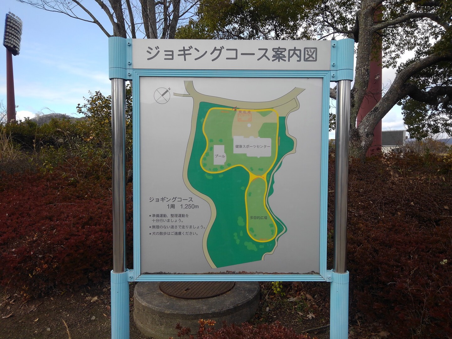 平木山 ジョギングコースより遊歩道 かずかずさんの尾道市の活動日記 Yamap ヤマップ