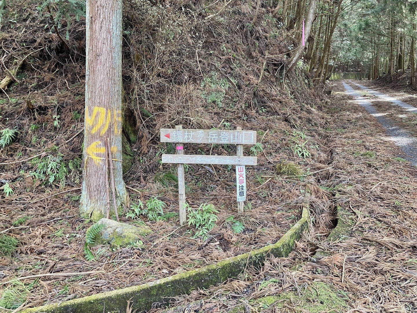 小雀の頭・錫杖ヶ岳の写真