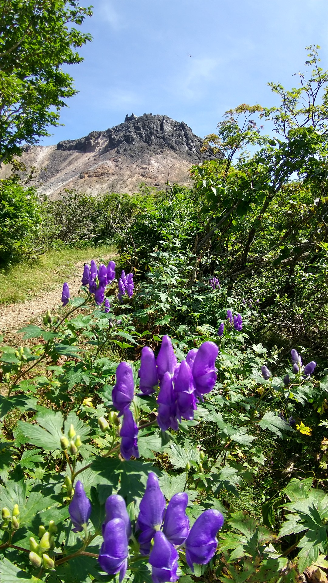 涼を求め 花を求め 茶臼岳 那須岳 日の出平 のぶさんさんの茶臼岳 那須岳 三本槍岳 赤面山の活動データ Yamap ヤマップ
