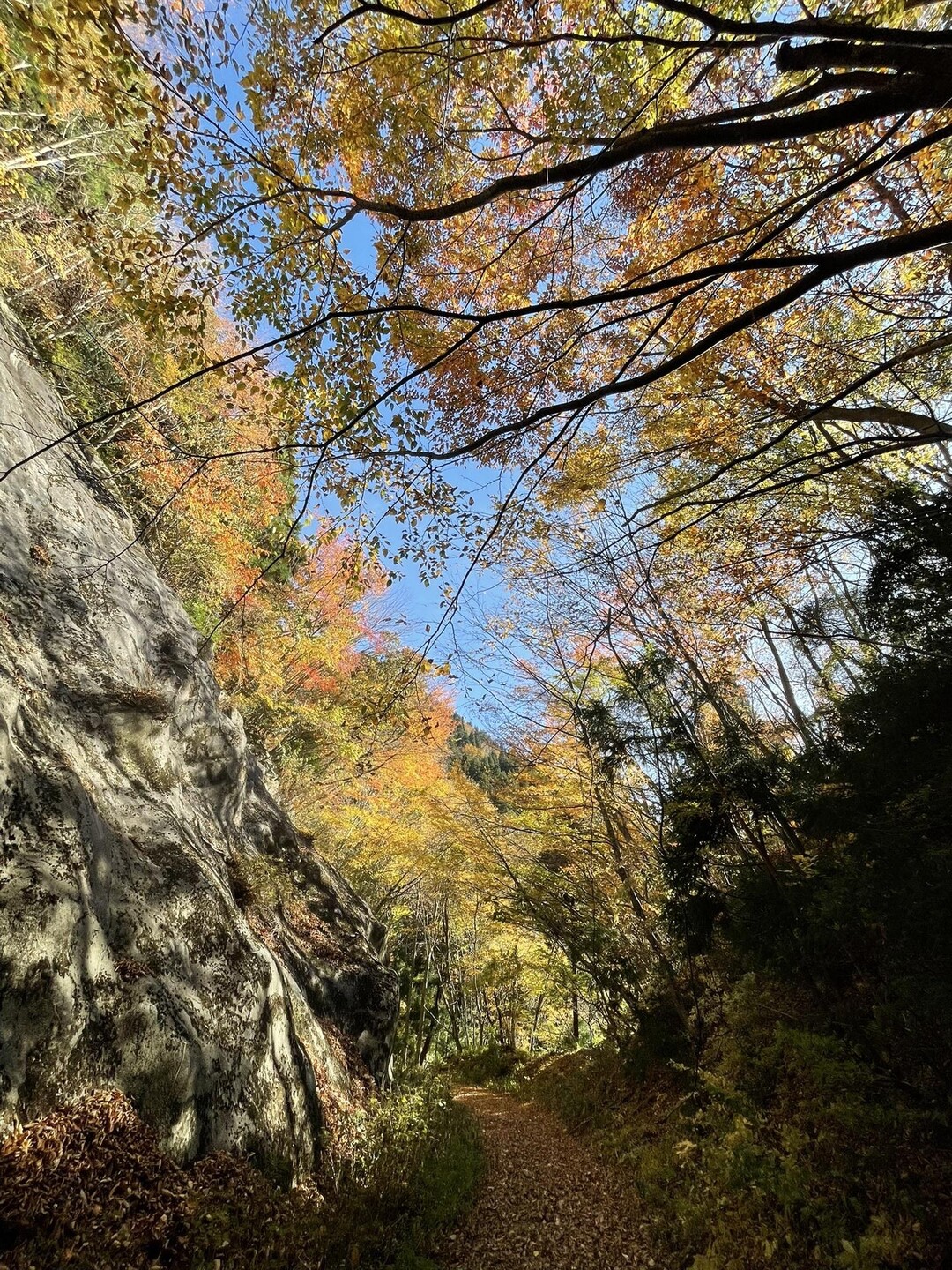 【🍁紅葉の寂地峡と寂地林道】錦ヶ岳・右谷山・寂地山・額々山 / 吉和冠山（安芸冠山）・広高山・寂地山の写真73枚目 / いい切り通し💓