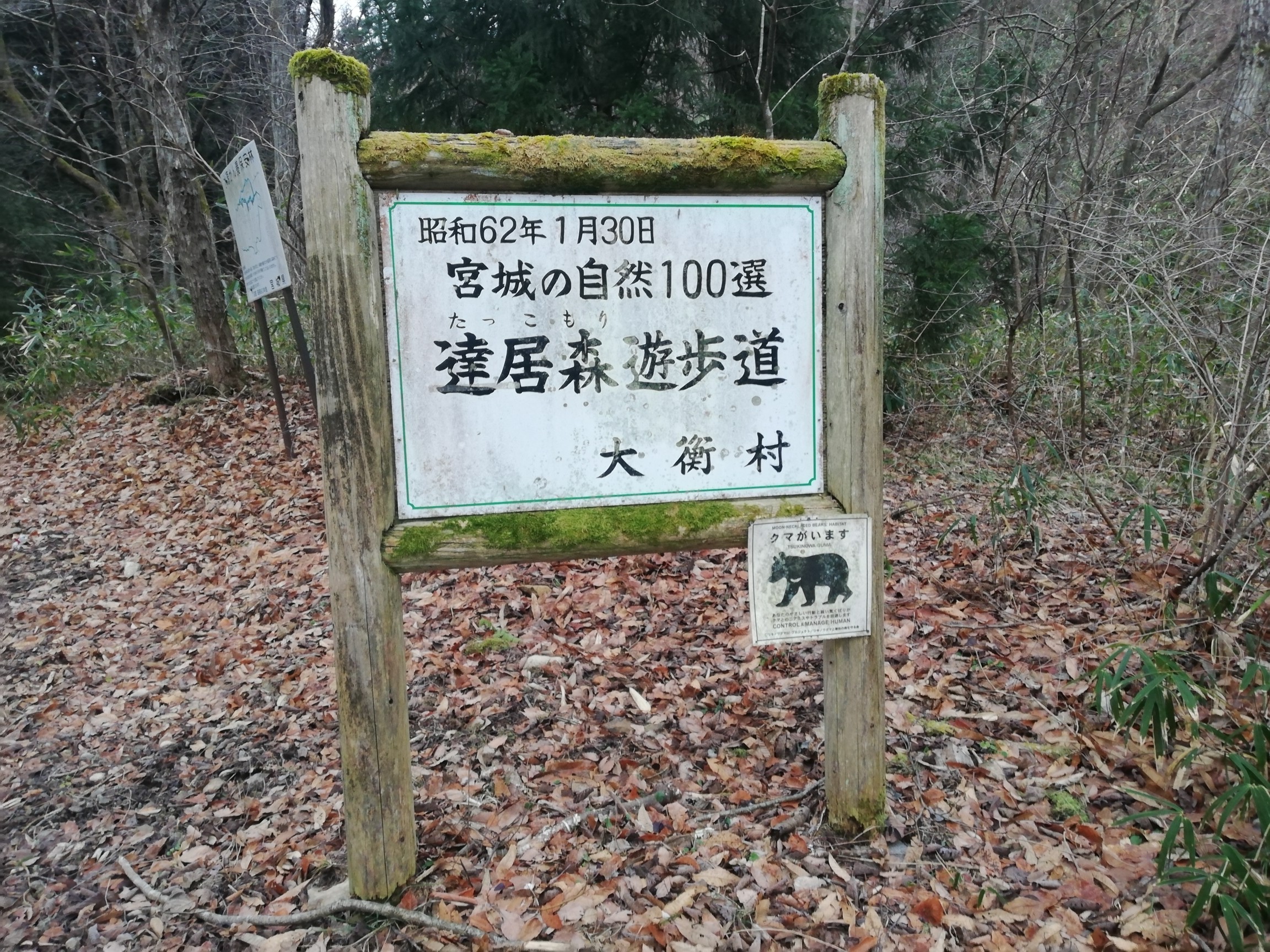 達居森 リベンジ！！