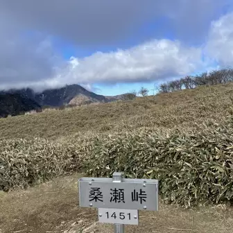 伊予富士と寒風山の分岐