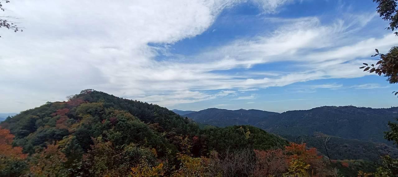 草戸山（東京,神奈川） | YAMAP / ヤマップ