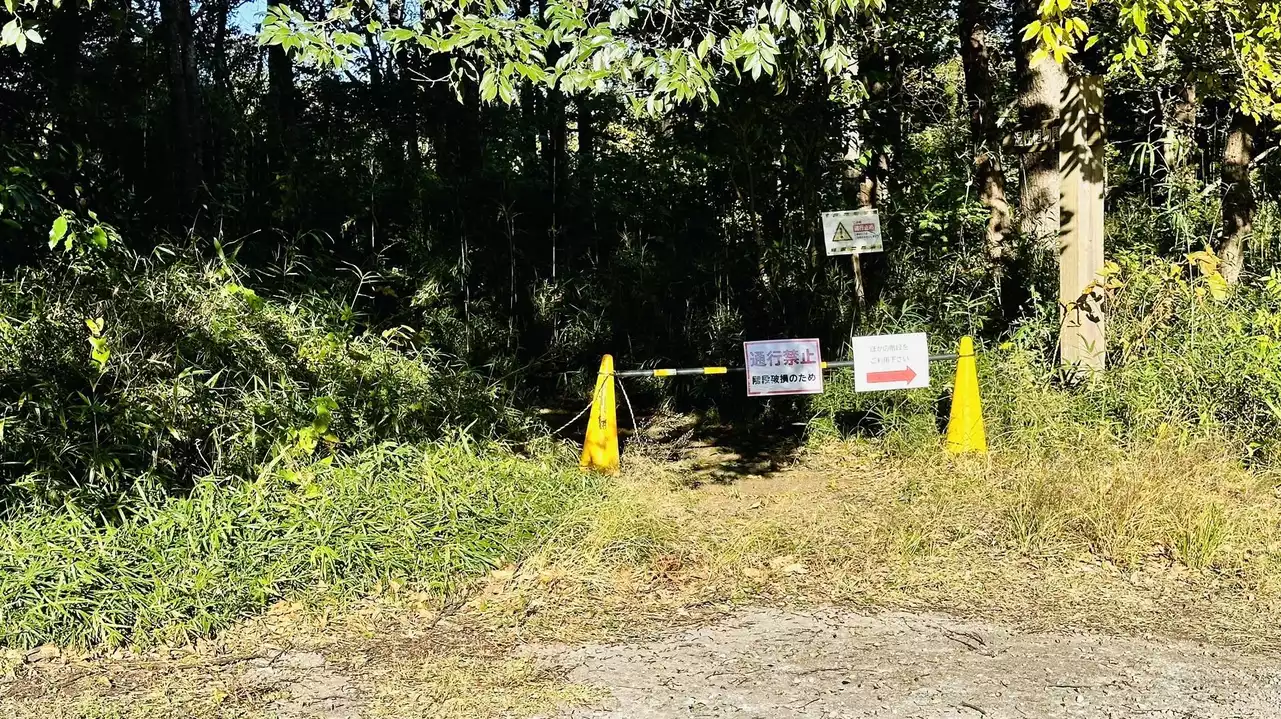 デイキャンプで山テント⛺️デビュー!/千葉市昭和の森 デイキャンプで山テント⛺️デビュー!/千葉市昭和の森