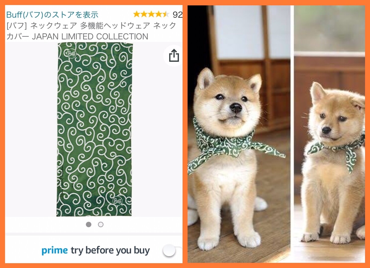 唐草模様の似合う柴犬様に憧れ過ぎて、人間... / 柴犬のシッポさんの 