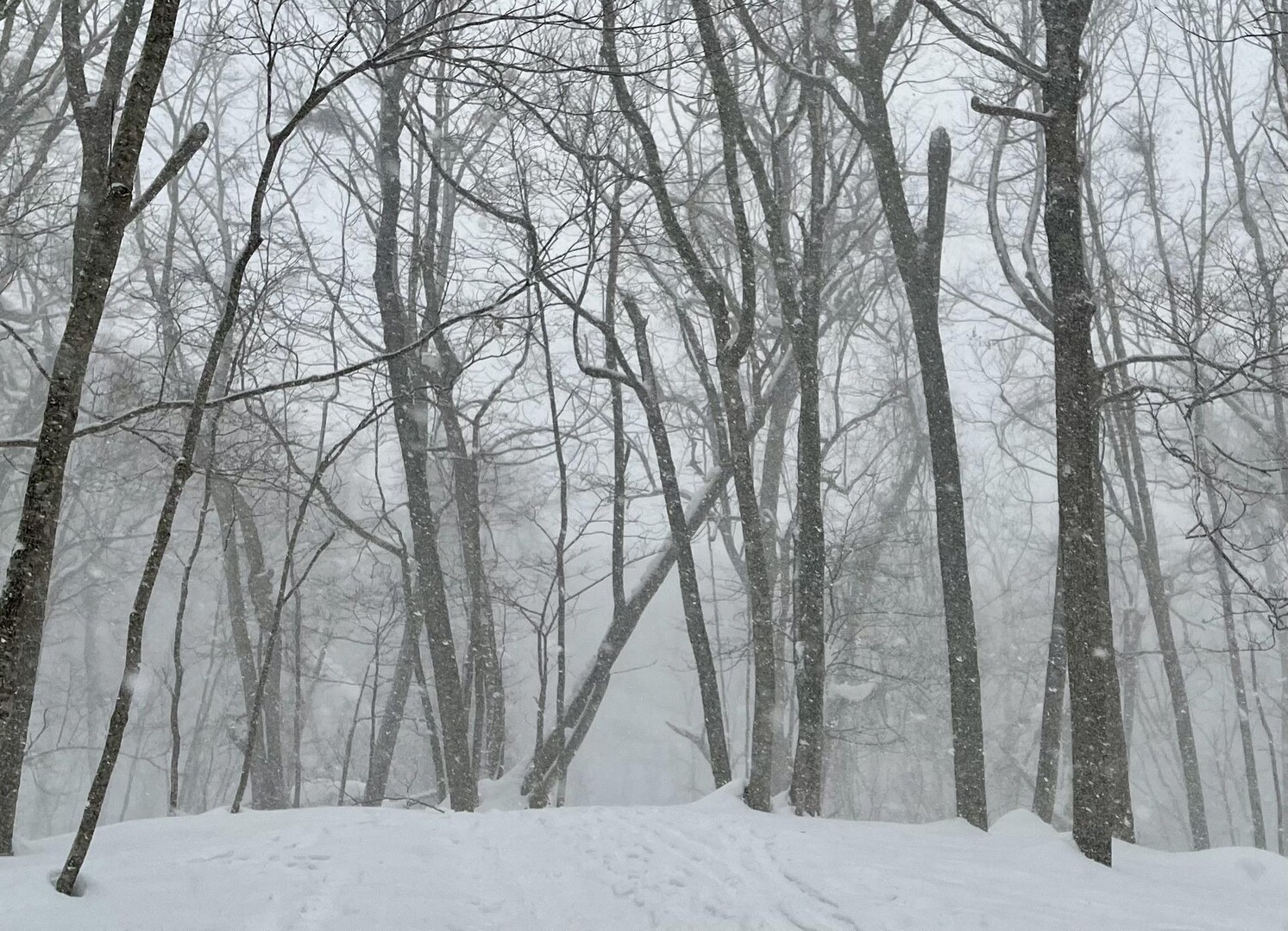 Maravilhas naturais: Conheça o Parque Estadual do Jalapão