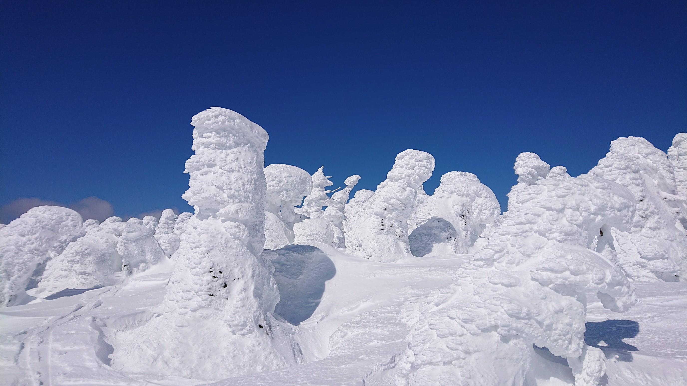 八幡平 樹氷 林檎さんの八幡平 源太森 安比岳の活動データ Yamap ヤマップ