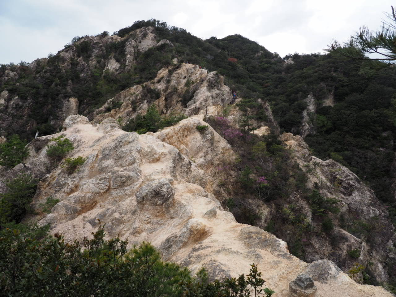 春の関西遠征第1弾 須磨アルプス馬の背直前で道迷い 危なかったぁ おにめささんの六甲山 長峰山 摩耶山の活動データ Yamap ヤマップ