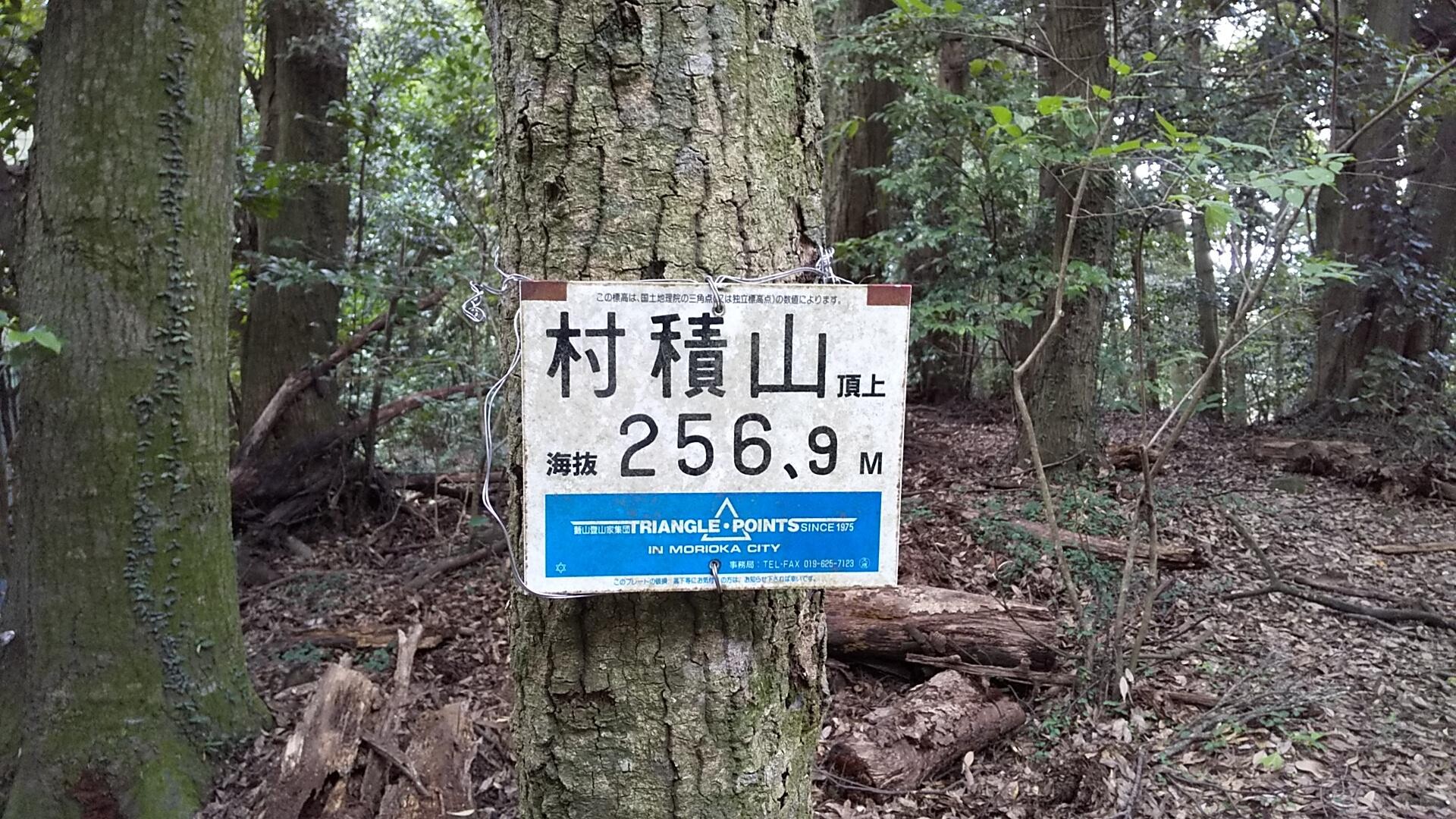 村積山 / 村積山の写真5枚目 / 到着！ YAMAP / ヤマップ