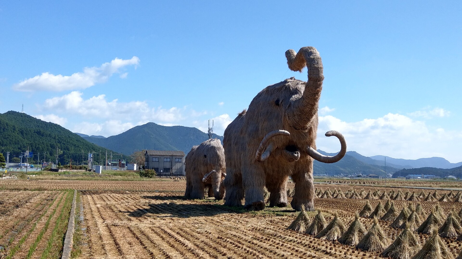 クンちゃんのページ YAMAP / ヤマップ