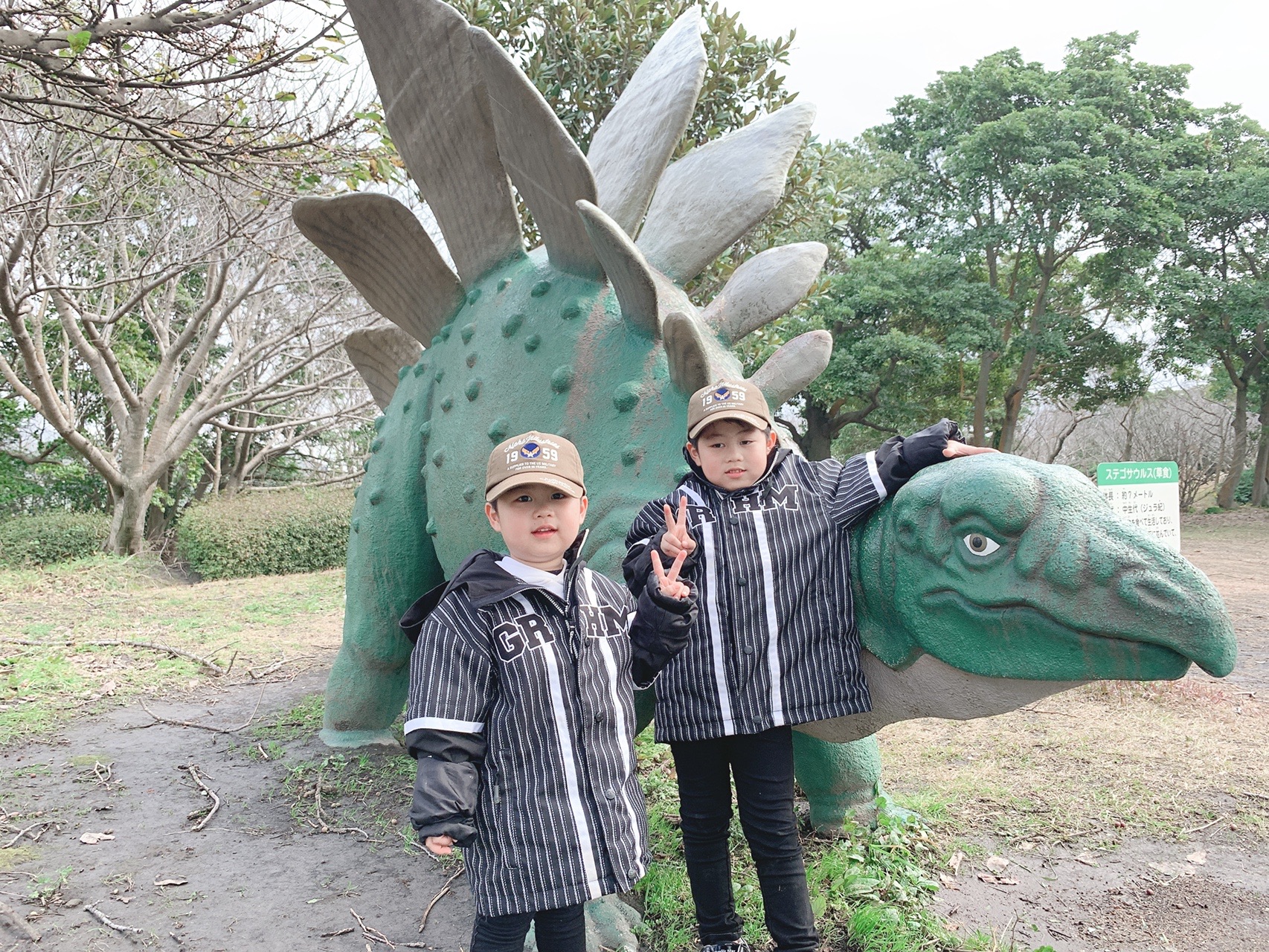 鹿児島 桜島 自然恐竜公園 親子登山初心者さんの鹿児島市の活動データ Yamap ヤマップ
