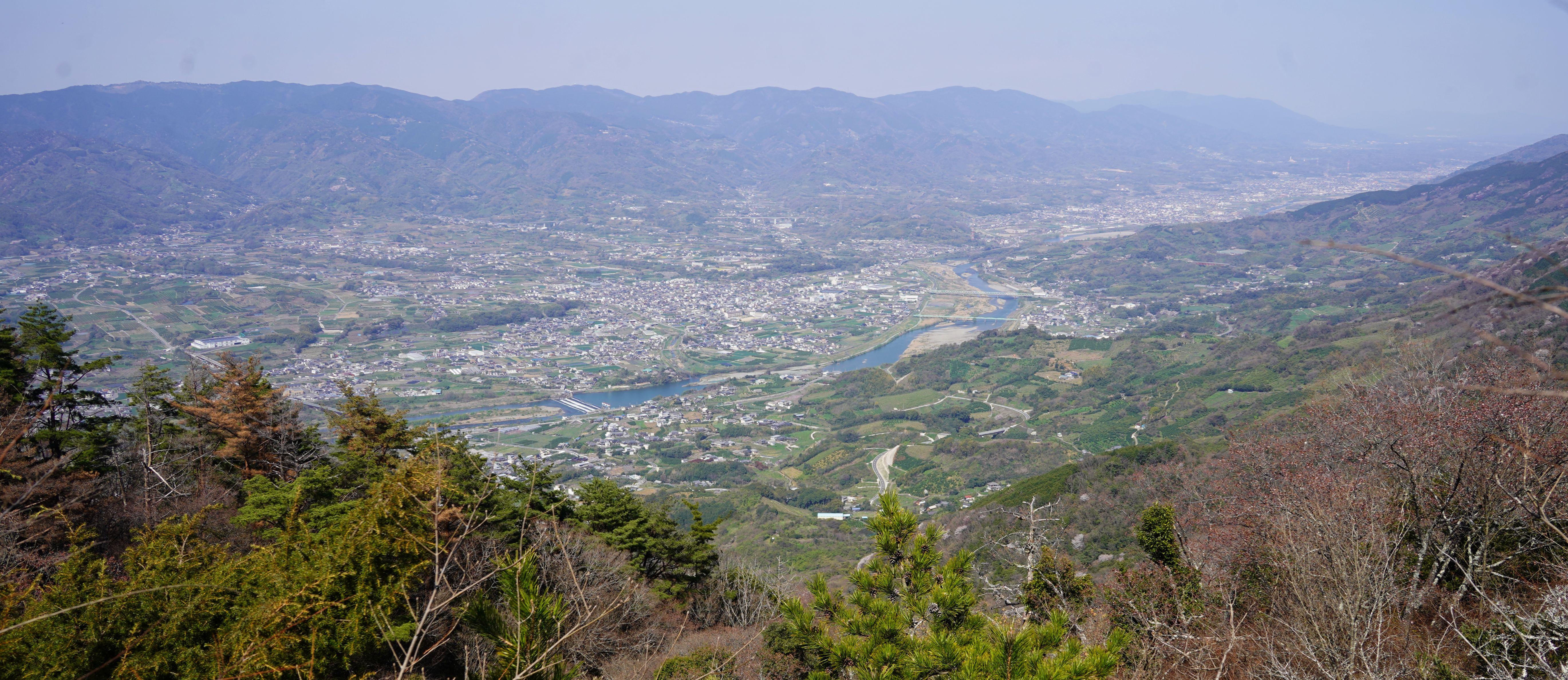 山桜が咲くと、ギフチョウが舞う龍門山 / ハゲ親父さんの龍門山