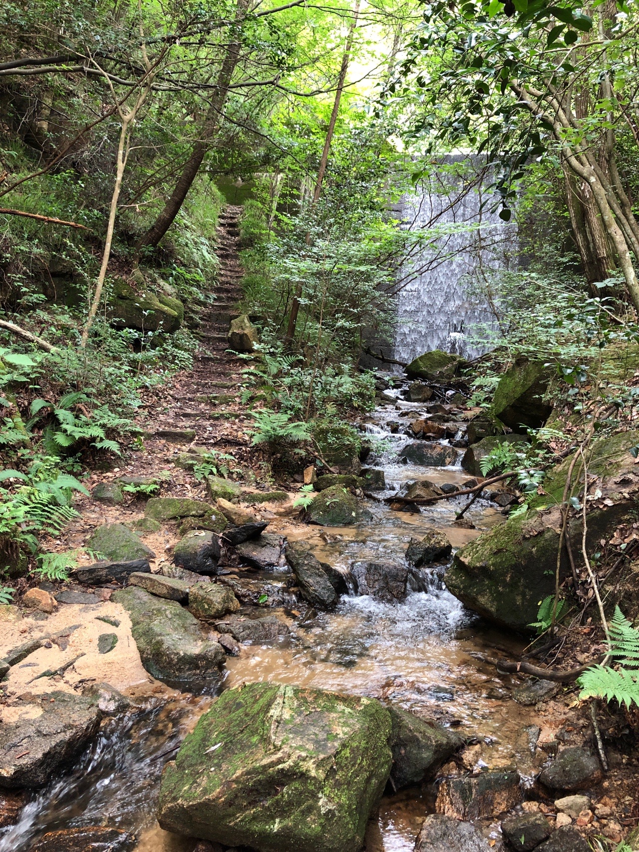 東海自然歩道 三国ウエスト農場 もんくーるさんの猿投山 物見山の活動日記 Yamap ヤマップ