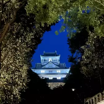 夜の岐阜城✨
昼間とは違い、ちょっと神秘的でした🤔