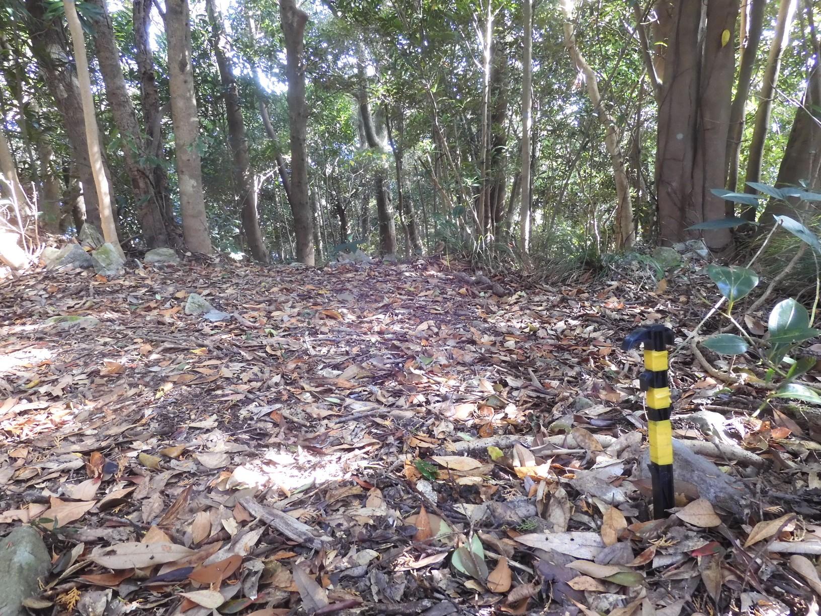 小ピーク左手に分岐らしい目印と踏跡が有ったので少し寄り道してみる...