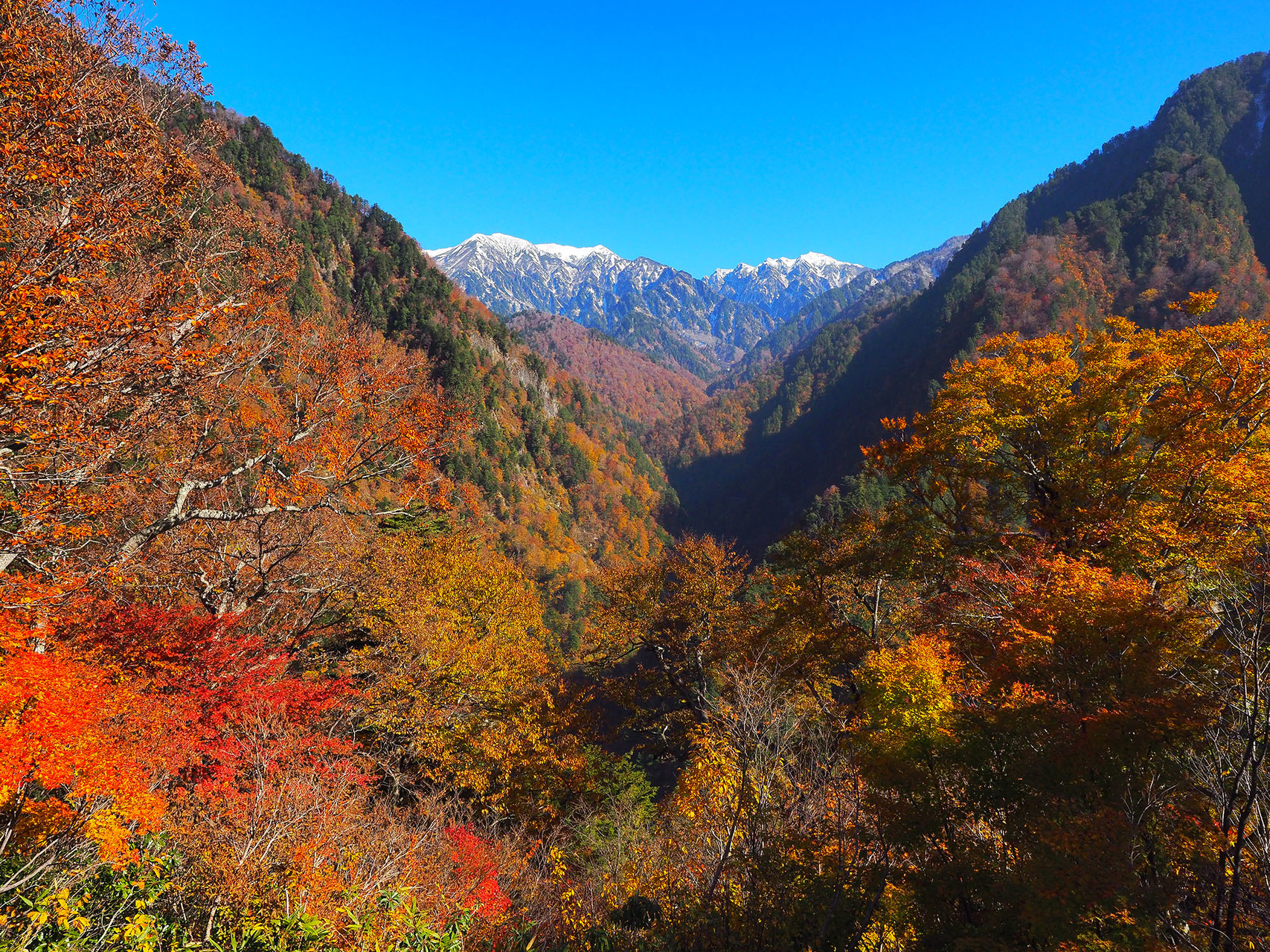 紅葉爆発の黒部峡谷 欅平 水平歩道途中まで Junjunさんの鹿島槍ヶ岳 五竜岳 五龍岳 唐松岳の活動日記 Yamap ヤマップ