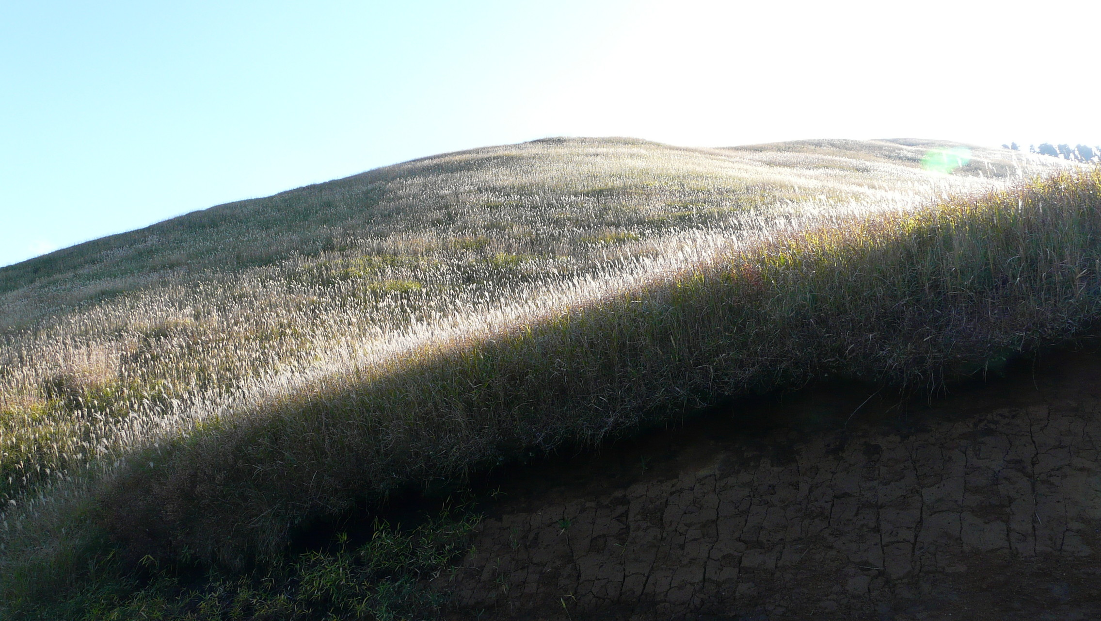 一目山にいちもくさん 良さんの涌蓋山 猟師山の活動データ Yamap ヤマップ