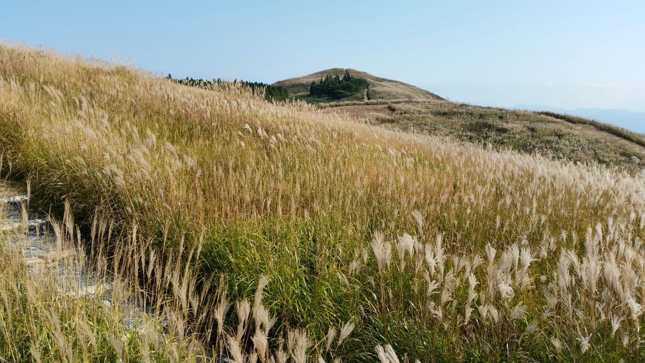 すすき の生石ヶ峰 おいしがみね 関西百名山 和歌山 けいちゃんさんの熊野古道紀伊路その1の活動データ Yamap ヤマップ