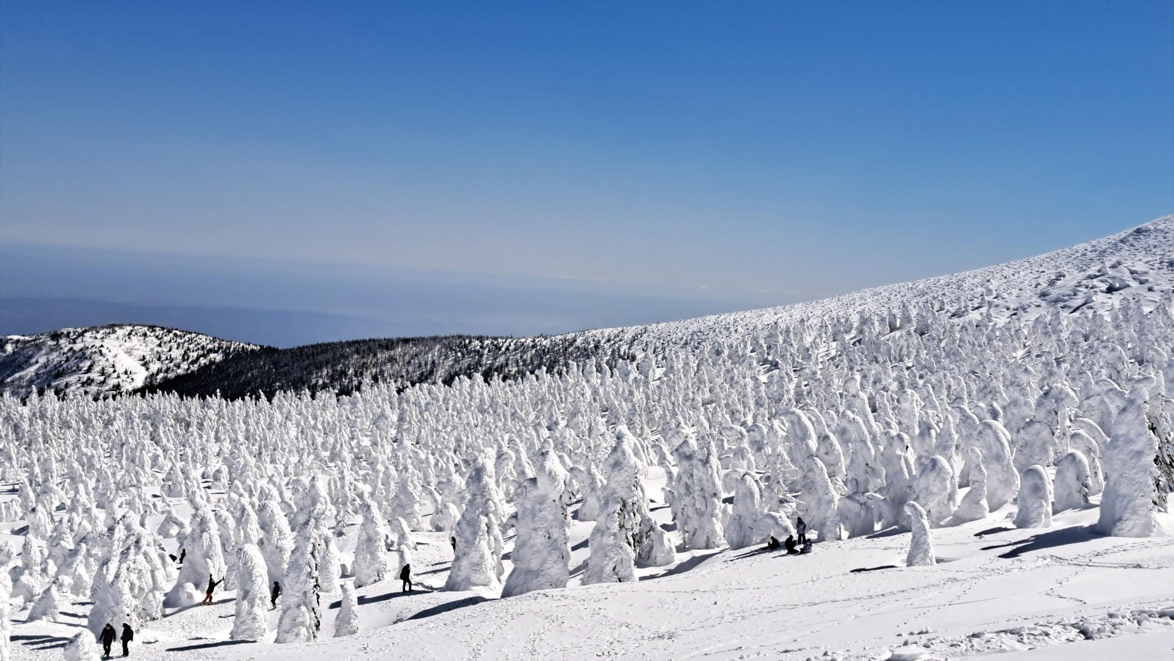 蔵王山・雁戸山・不忘山 夢にまで見た蔵王です😌💓