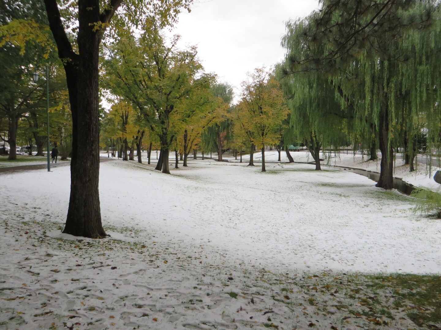 北大キャンパス 冬ソナのロケ地 後藤文蔵さんの札幌市の活動データ Yamap ヤマップ