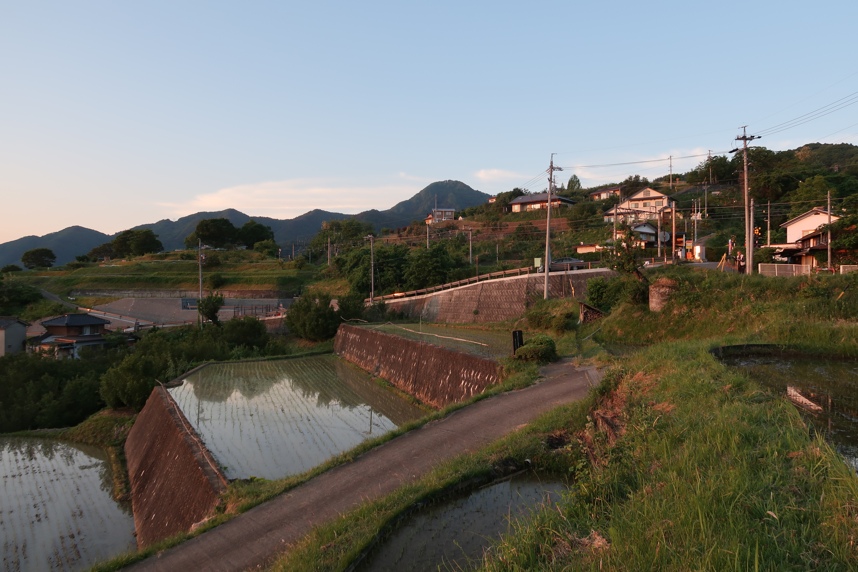 おばすて山と棚田 あかねのチチさんの冠着山 姨捨山 の活動データ Yamap ヤマップ